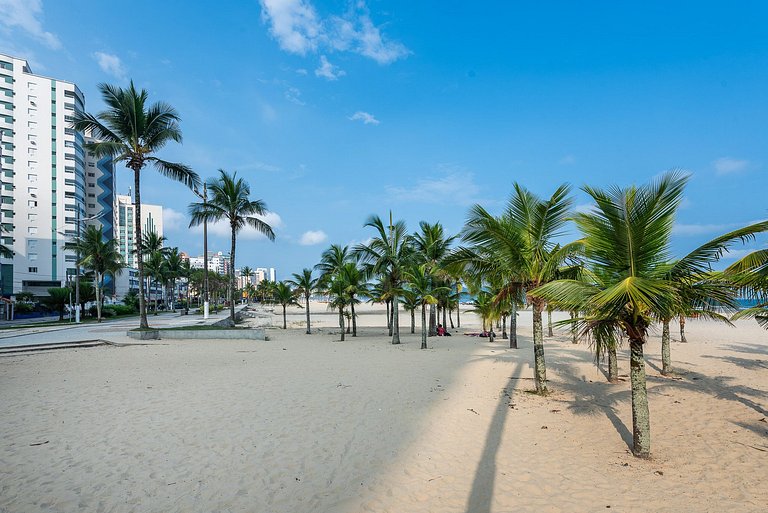 Coqueiros Beira Mar na Praia da Guilhermina PGGC