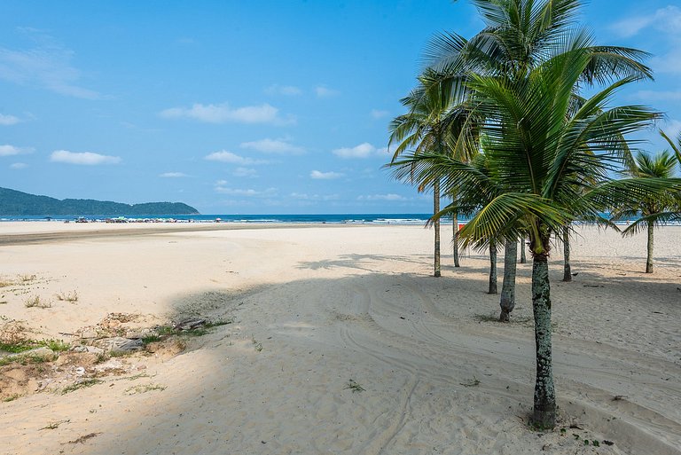 Coqueiros Beira Mar na Praia da Guilhermina PGGC