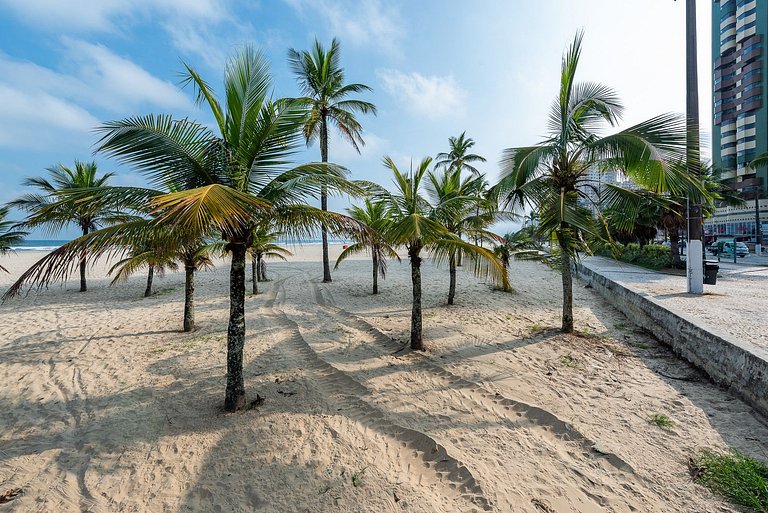Coqueiros Beira Mar na Praia da Guilhermina PGGC